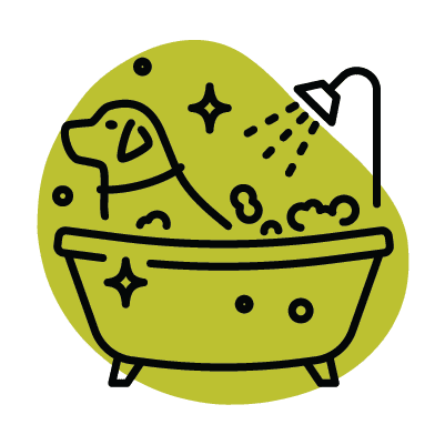 Dog bath icon